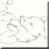 foxiepr0n.png