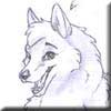 graywolf_foxbunni.jpg