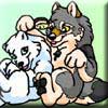 graywolf_soulfox.jpg