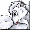 omega_cleaning_foxy.jpg