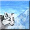 omega_follow_foxy.jpg