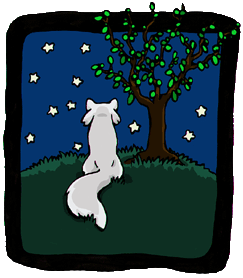 SpringNight
