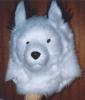 Fursuit Head