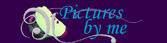Pictures by me