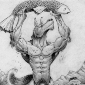 Catch the fish