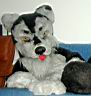 Wolfy